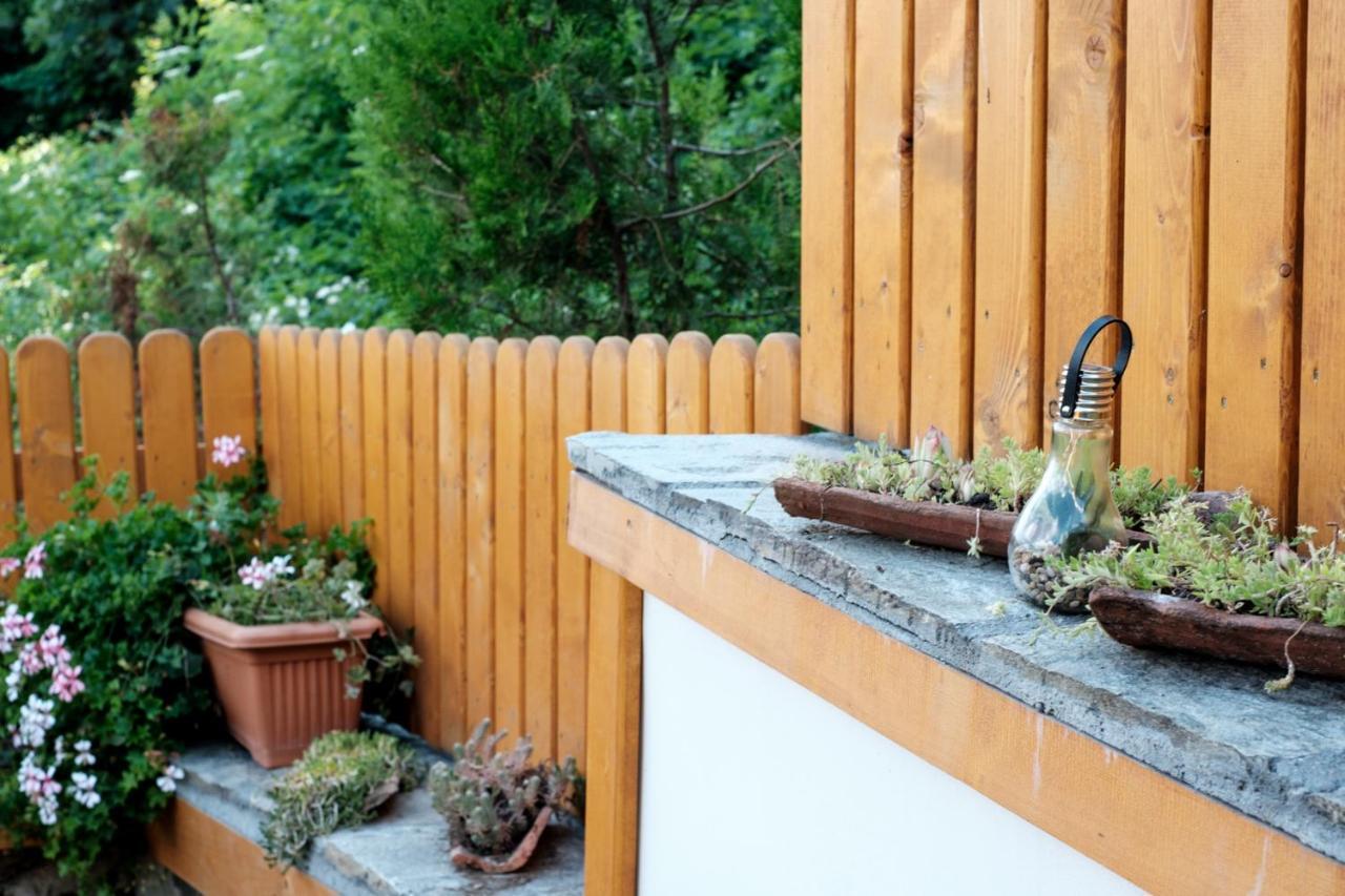 Tarno Holiday home